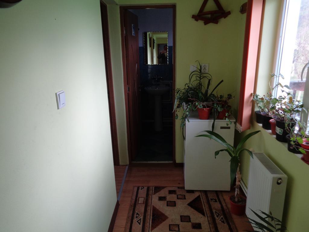 Hotel Gasthaus Enduro Bica à Caransebeş Extérieur photo